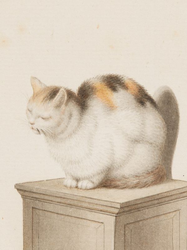 Eine weiße Katze mit roten und grauen Flecken schläft zusammengekauert auf einem steinernen Sockel – Aquarell