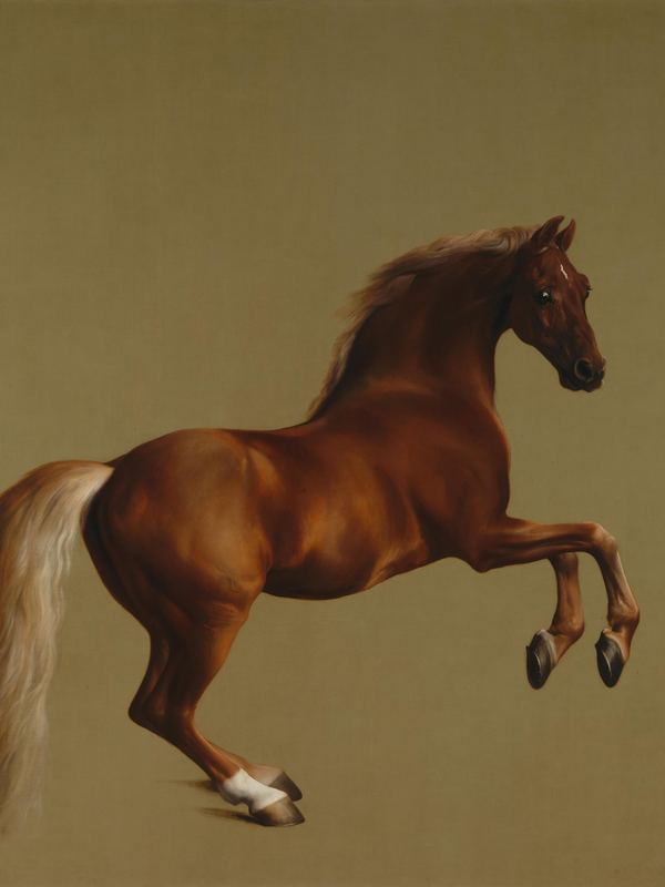 Ein fuchsfarbener Araberhengst bäumt sich vor schlichtem Hintergrund auf – Gemälde von George Stubbs