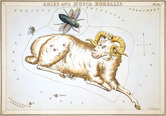 Der Widder als goldgelockter Schafbock zwischen Sternen, darüber eine kleine Fliege – Sternbildkarte aus Urania's Mirror