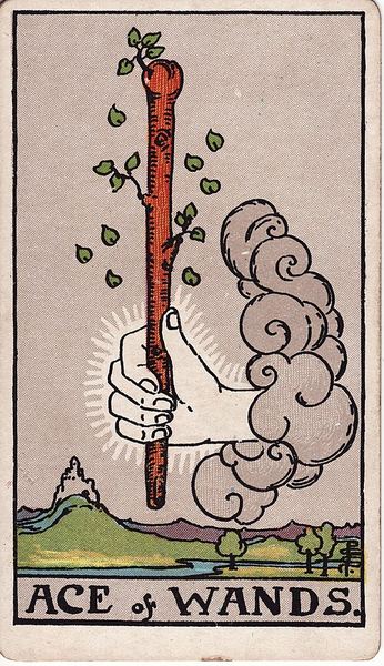 Tarotkarte Ass der Stäbe aus dem Rider-Waite-Tarot